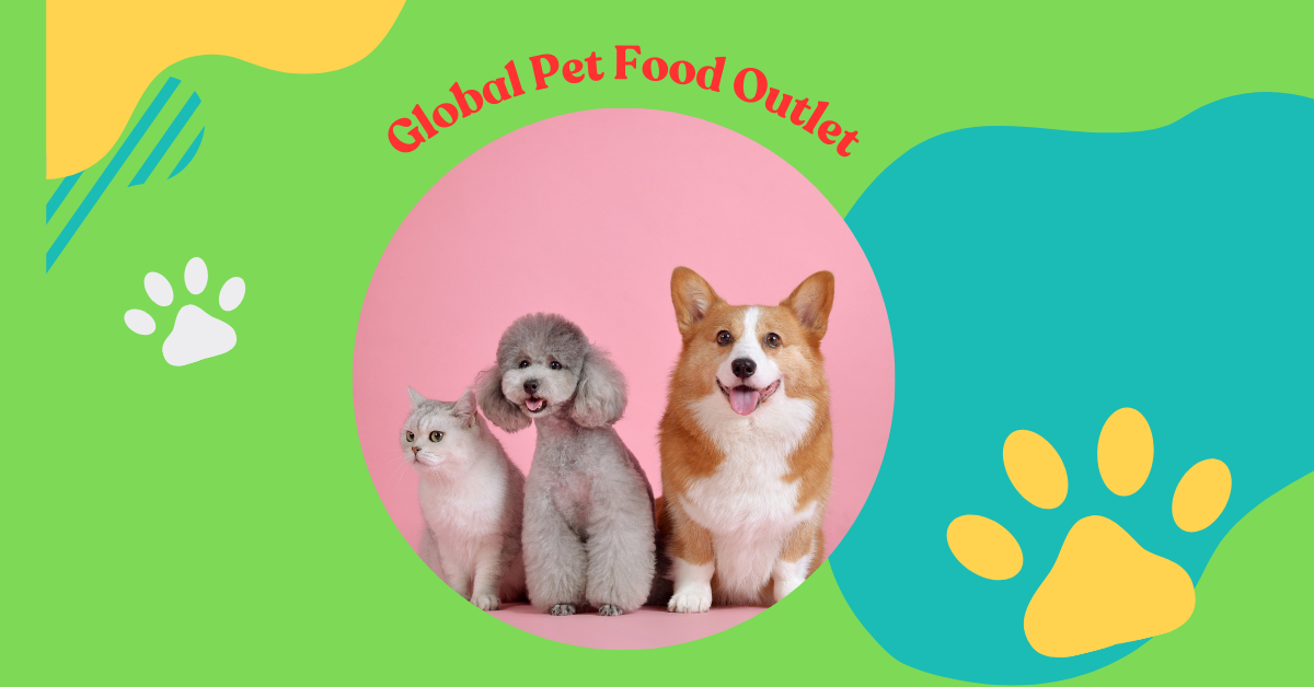 Global Pet Food Outlet: Exploring the Booming Market