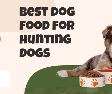 Best dog food for hunting dogs