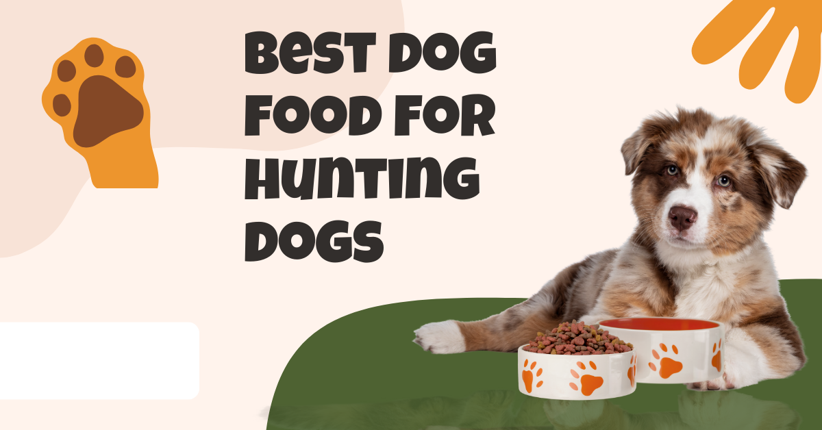 Best dog food for hunting dogs